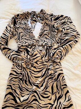 Show me your mumu silk zebra mini dress